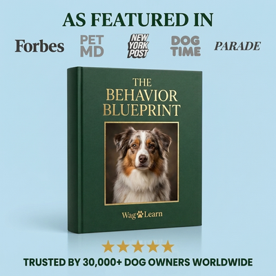 The Behavior Blueprint [FREE TODAY]