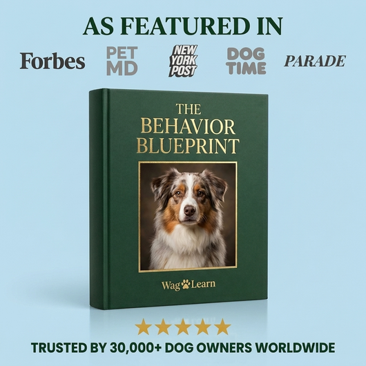 The Behavior Blueprint [FREE TODAY]
